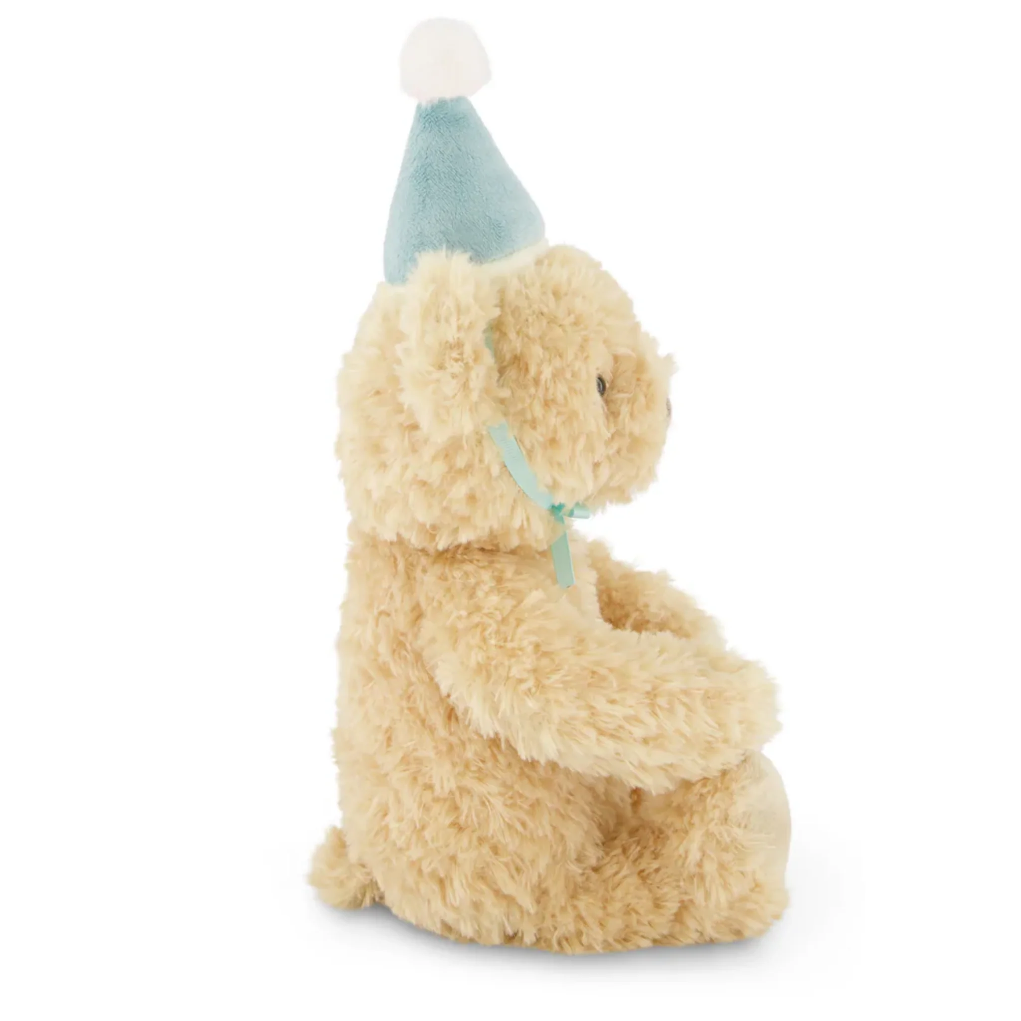 Snuggle Bunnies Birthday Arthur Bear - Blue - Image 4